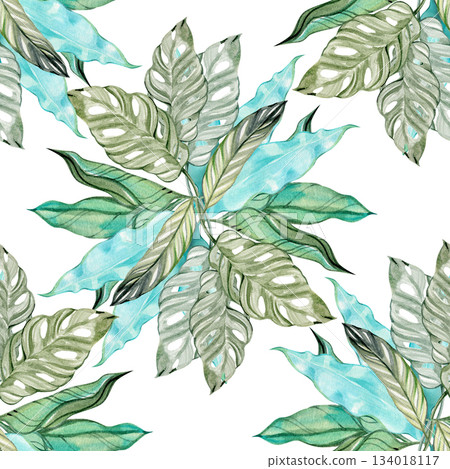 Seamless watercolor pattern featuring delicate green monstera adansonii leaves painted in a soft botanical style. Elegant tropical foliage design perfect for fabric, packaging, stationery, and nature 134018117
