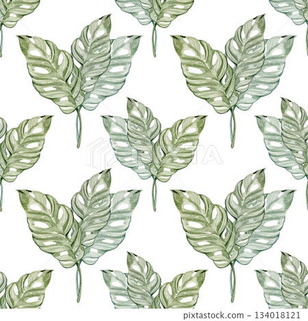 A seamless botanical pattern featuring watercolor tropical leaves with natural shapes and soft green shades. Elegant, fresh and organic design ideal for textiles, wrapping paper, wallpapers, packaging A seamless botanical pattern featuring watercolor tropical leaves with natural shapes and soft green shades. Elegant, fresh and organic design ideal for textiles, wrapping paper, wallpapers, packaging 134018121