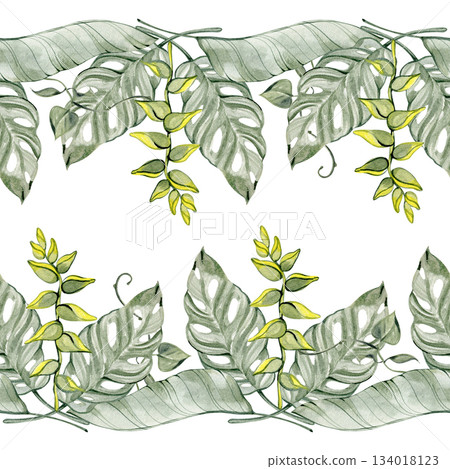 Watercolor tropical border with layered monstera, calathea, and delicate yellow-green sprigs. Suitable for packaging, branding, textile patterns, invitations, and decorative botanical designs. Watercolor tropical border with layered monstera, calathea, and delicate yellow-green sprigs. Suitable for packaging, branding, textile patterns, invitations, and decorative botanical designs. 134018123