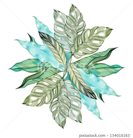 Watercolor tropical leaf arrangement featuring monstera, calathea, and abstract foliage in soft green and turquoise tones. Perfect for botanical design, branding, packaging, and elegant natural themes 134018163