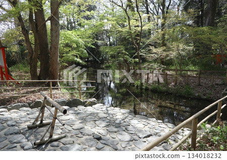 京都世界遺產:下鴨神社參道與鰣林 京都世界遺產:下鴨神社參道與鰣林 134018232