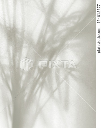 Light grey abstract background, trendy color of year 2026, cloud dancer Light grey abstract background, trendy color of year 2026, cloud dancer 134018577