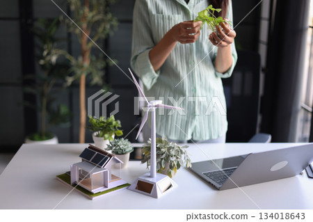 Beautiful engineer working in office design eco friendly and sustainable living home. Beautiful engineer working in office design eco friendly and sustainable living home. 134018643