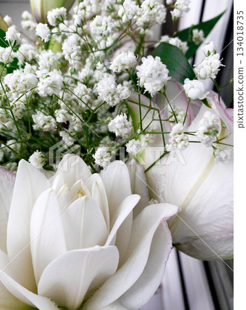 White blooming flowers displaying fresh petals and small baby breath blossoms, forming delicate and elegant floral bouquet for various celebrations and occasions 134018735