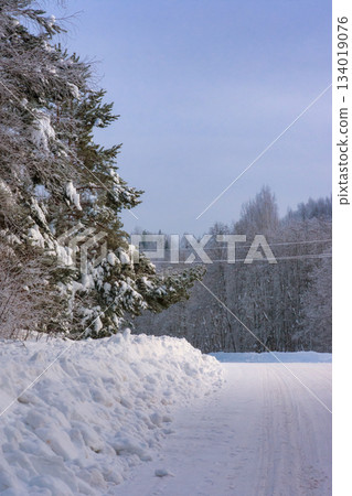Winter landscape with a road in the forest Winter landscape with a road in the forest 134019076
