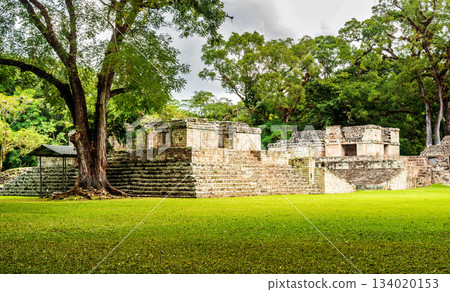 The Mayan ruins in Copan Ruinas, Honduras 134020153