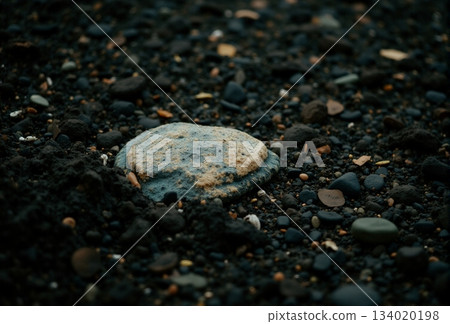 AI generated Geological specimen showcasing volcanic pebble with shells and fine grains 134020198