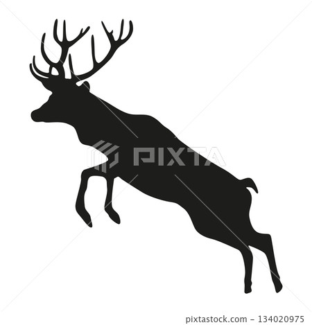 Deer_02 Deer_02 134020975
