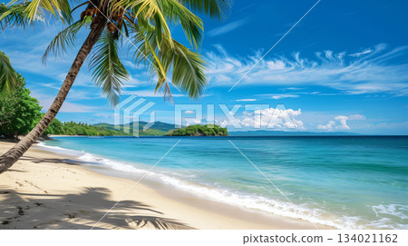 Tropical beach. Summer vacation on a tropical island with beautiful beach and palm trees. Tropical Maldives. 134021162