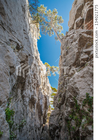 rock crevice in mountains at day rock crevice in mountains at day 134021775