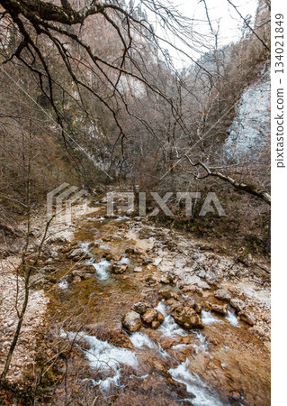 Mountain river with rapids and rocks in gorge Mountain river with rapids and rocks in gorge 134021849