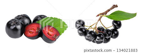 Chokeberry with leaf isolated on white background. Black aronia. Chokeberry with leaf isolated on white background. Black aronia. 134021883