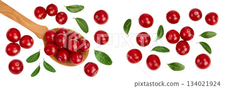 Cranberry in wooden spoon isolated on white background. Top view. Flat lay 134021924