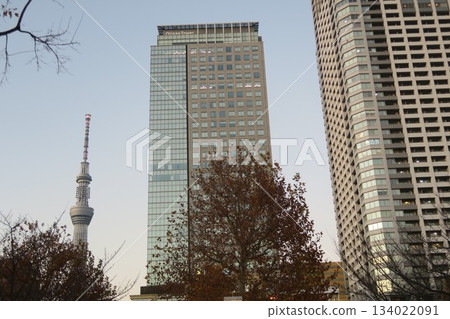 Skytree seen between the buildings Skytree seen between the buildings 134022091