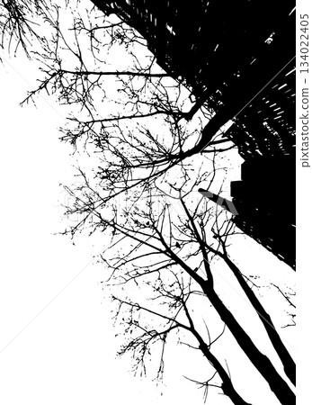 Monochrome silhouette of tree branches In the city. hand drawing. Not AI Vector illustration Monochrome silhouette of tree branches In the city. hand drawing. Not AI Vector illustration 134022405