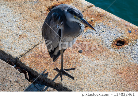 A very beautiful landscape of Onomichi city, Hiroshima prefecture, Japan A very beautiful landscape of Onomichi city, Hiroshima prefecture, Japan 134022461