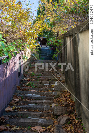 日本廣島縣尾道市的絕美景色 134022475