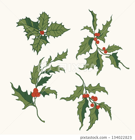 Whimsical Christmas floral set of holly and berries. Hand-drawn vintage collection isolated on white background. Illustration for design, print, fabric or background. Whimsical Christmas floral set of holly and berries. Hand-drawn vintage collection isolated on white background. Illustration for design, print, fabric or background. 134022823