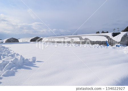 大雪地區乙烯基溫室 134022927
