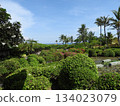 Tropical Resort 134023079