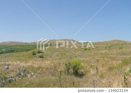 Akiyoshidai with dead grass in the spring of 2025 134023134