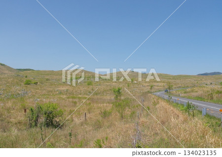 Akiyoshidai and Akiyoshidai Karst Road with dead grass in spring 2025 Akiyoshidai and Akiyoshidai Karst Road with dead grass in spring 2025 134023135