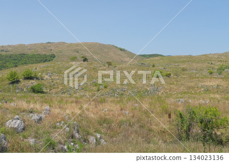 Akiyoshidai with dead grass in the spring of 2025 Akiyoshidai with dead grass in the spring of 2025 134023136