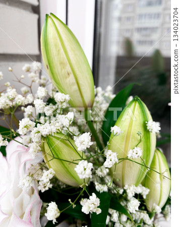 Closeup view of green flower buds nestled among small white blooms and leafy greens. Fresh and vibrant bouquet, natural beauty of lily flowers. Soft light highlights delicate details of buds 134023704