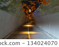 Fukuroda Falls Light Tunnel 134024070
