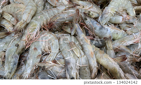 Top view of close up of fresh shrimps display in wet market. Top view of close up of fresh shrimps display in wet market. 134024142