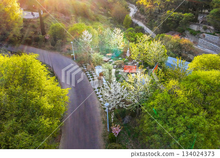 Botanical garden in bloom time in Tbilisi April Botanical garden in bloom time in Tbilisi April 134024373