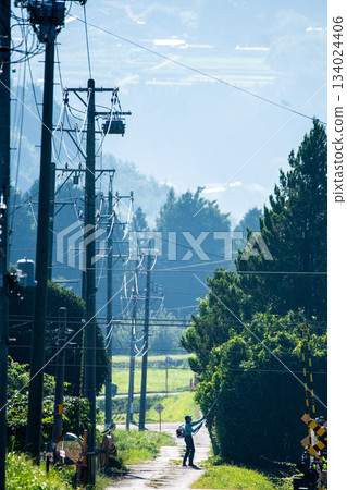 Pruning work in a rural town 134024406
