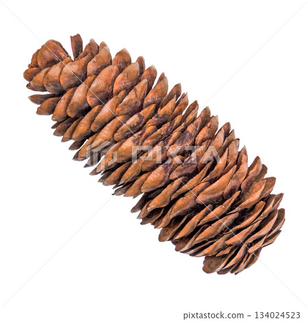 christmas pine cone isolated on white 134024523