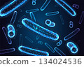 Digital glowing bacteria pattern with polygon mesh cells on dark blue background vector illustration 134024536
