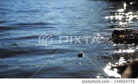 Close up view on lake with small waves at sunny day. Calm scenery of pond at summer season. Beautiful nature landscape. Concept of tranquility scene. Slow motion Close up view on lake with small waves at sunny day. Calm scenery of pond at summer season. Beautiful nature landscape. Concept of tranquility scene. Slow motion 134024738
