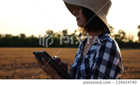 Female agronomist in straw hat monitoring harvest on barley field at sunset. Adult farmer using digital tablet on wheat meadow at dusk. Beautiful scenic landscape. Concept of agricultural business Female agronomist in straw hat monitoring harvest on barley field at sunset. Adult farmer using digital tablet on wheat meadow at dusk. Beautiful scenic landscape. Concept of agricultural business 134024740
