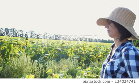 Female agronomist exploring plants at yellow meadow. Adult farmer examining ripe sunflowers at field on sunny day. Beautiful scenic landscape. Concept of agriculture and agronomy business. Close up Female agronomist exploring plants at yellow meadow. Adult farmer examining ripe sunflowers at field on sunny day. Beautiful scenic landscape. Concept of agriculture and agronomy business. Close up 134024741