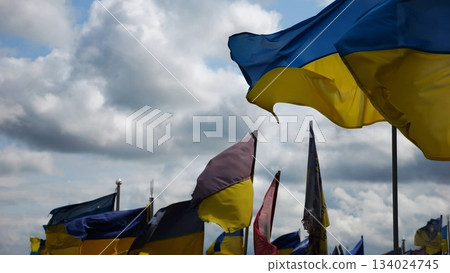 View on blue-yellow flags at countless graves of ukrainian soldiers alley of glory in Kharkiv. This site commemorates heroes and maintains the memory of wartime events in Ukraine. Slow moiton 134024745