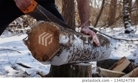 Male hand sawing a log in sunny winter forest. Strong guy working with a saw in snowy woodland. Concept of strength, masculine, energy, and harmony with nature during cold season. Slow motion 134024759