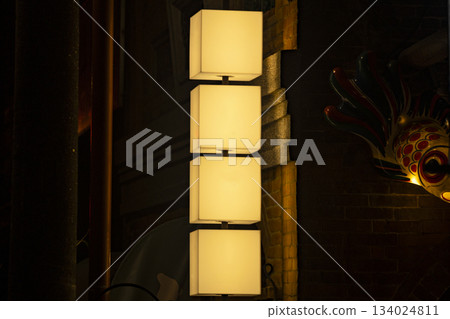 霓虹燈照亮的亞洲街道與商業招牌 霓虹燈照亮的亞洲街道與商業招牌 134024811