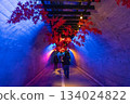 Fukuroda Falls Light Tunnel 134024822