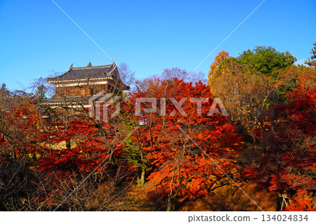Autumn leaves of Ueda castle ruins park Autumn leaves of Ueda castle ruins park 134024834