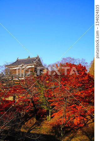 Ueda城堡秋葉公園廢墟 134024835