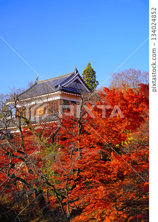 Ueda城堡秋葉公園廢墟 Ueda城堡秋葉公園廢墟 134024852