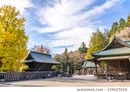 仙台東照宮，參拜殿。與日光東照宮的權現式建築不同，仙台東照宮的參拜殿和正殿是兩座獨立的建築。秋季，銀杏。 134025010