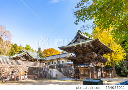 仙台東照宮，瑞神門，國立重要文化財產，供奉神明：德川家康，秋季，銀杏。 134025011
