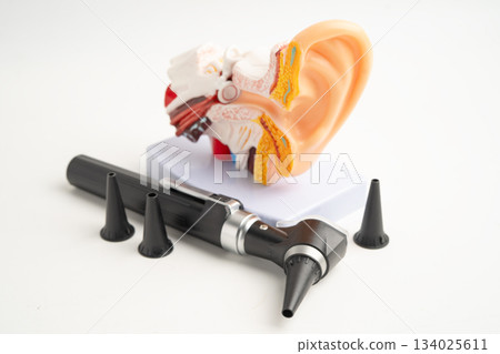 Otoscope with model for audiologist or ENT doctor use otoscope checking ear and treat hearing loss problem. Otoscope with model for audiologist or ENT doctor use otoscope checking ear and treat hearing loss problem. 134025611