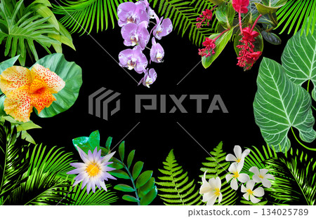 Tropical leaves. Vibrant green foliage of plants on black background Tropical leaves. Vibrant green foliage of plants on black background 134025789