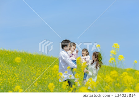 一家四口在油菜花田玩耍 134025814