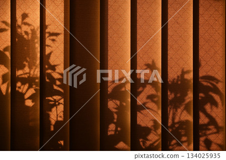 Shadow of a plant reflected on a blind curtain 134025935